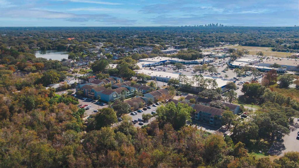 an aerial view of a city with houses and trees
