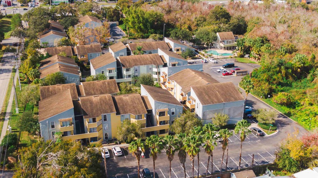 a aerial view of a neighborhood of houses with palm trees