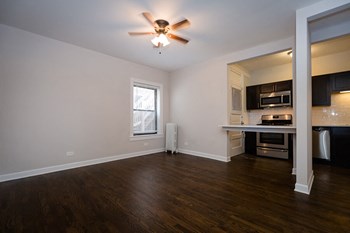 1351 W Touhy Ave 1-3 Beds Apartment for Rent - Photo Gallery 4