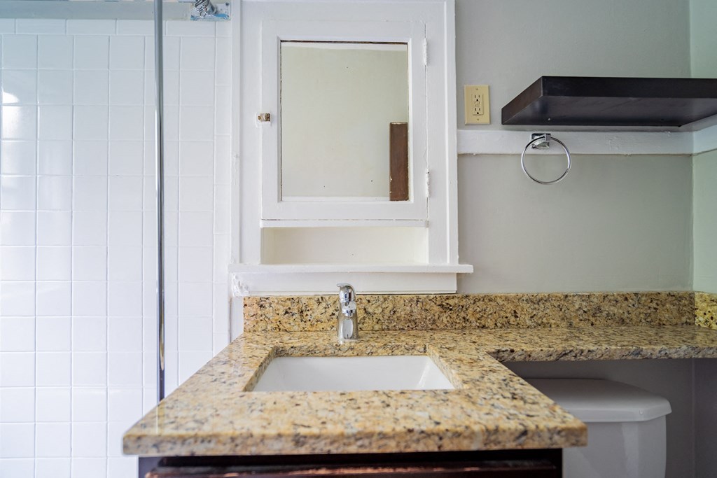 a bathroom with a sink and a mirror