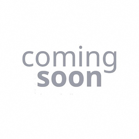 6435 N Damen Ave 2-3 Beds Apartment for Rent - Photo Gallery 21