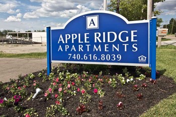 480 Lancaster Pike Studio-2 Beds Other for Rent - Photo Gallery 18