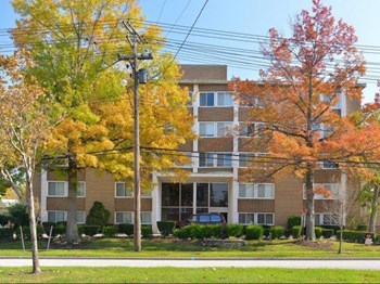 3311 Warrensville Center Rd 1-3 Beds Other for Rent - Photo Gallery 5