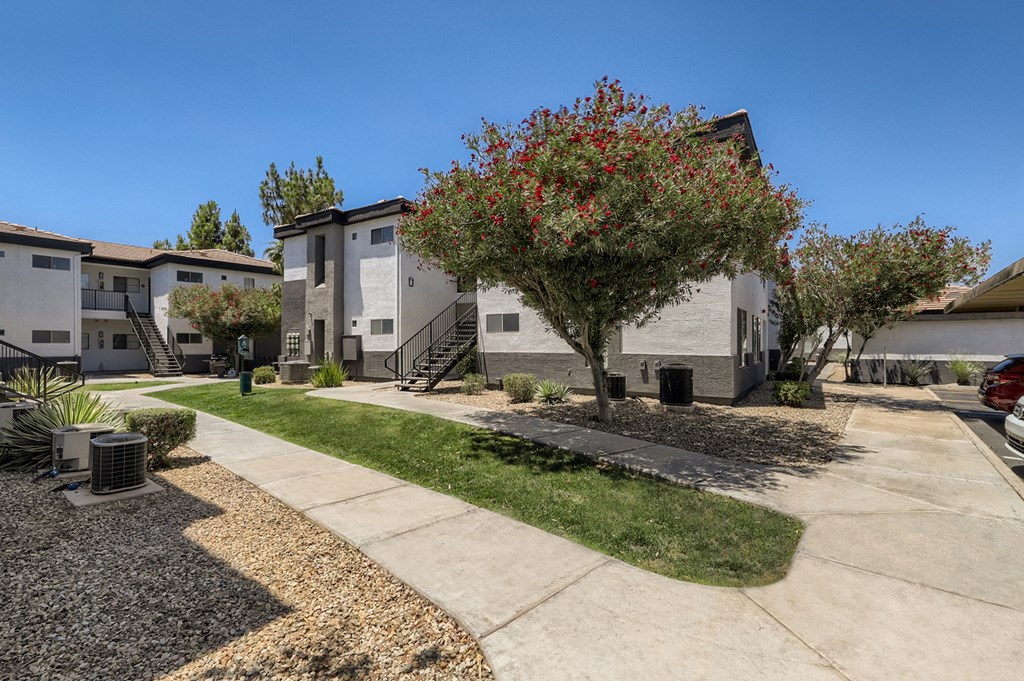 a row of houses with a tree in the yard and a sidewalk