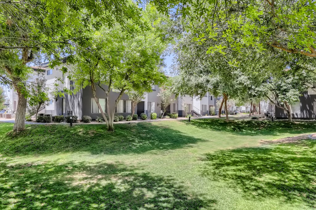 a park with trees and grass in front of a building