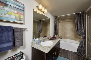 1701 E Debbie Lane 1-2 Beds Apartment for Rent - Photo Gallery 6