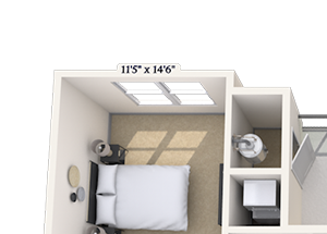 Traditional 1x1 858 sf-fp