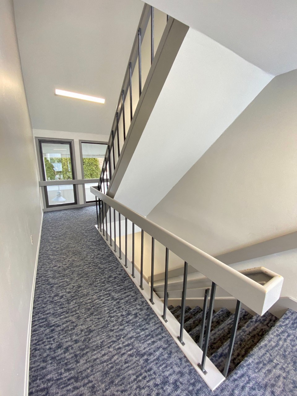 a view of a staircase in a new home with blue carpeting