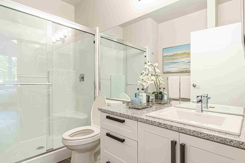 a bathroom with a sink toilet and a shower