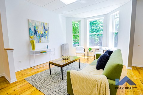 a living room with a green couch and a rug