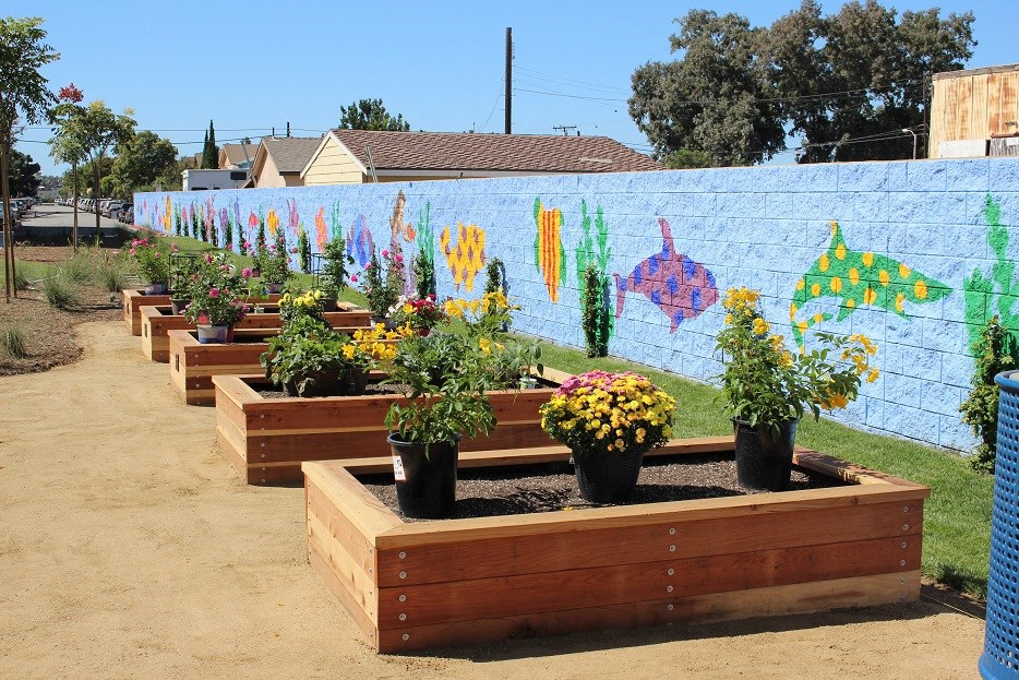 a row of wooden boxes with flowers in front of a wall