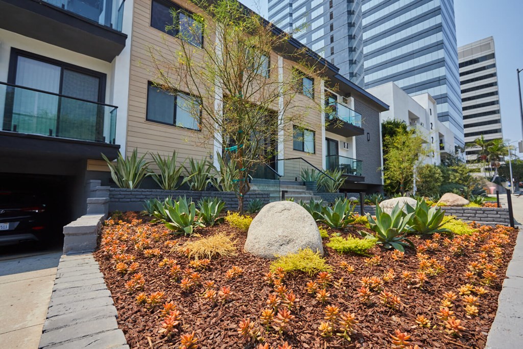 Front of units, view of small garden with tree and plants
