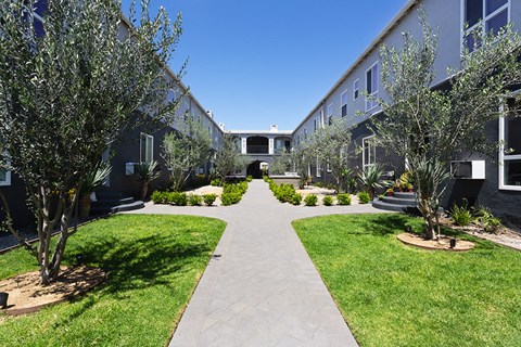 Courtyard with a sidewalk, trees, and grass