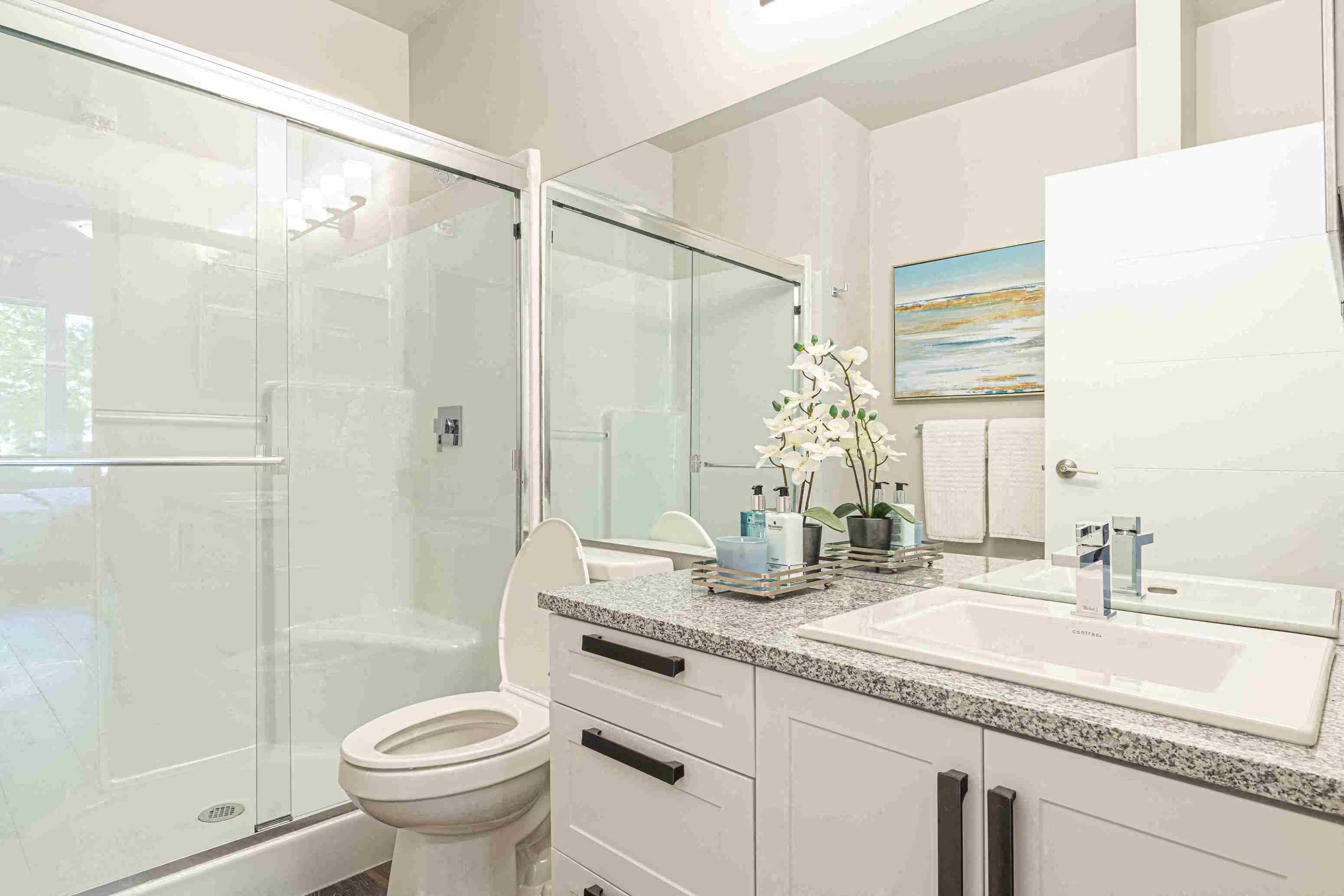 a bathroom with a sink and a toilet and a shower