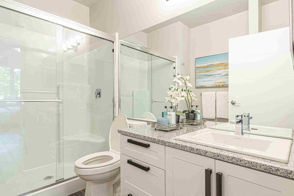 a bathroom with a sink and a toilet and a shower