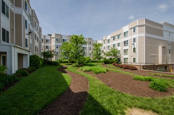 Building exterior view Building exterior view at Lotus Square, Washington - Photo Gallery 5