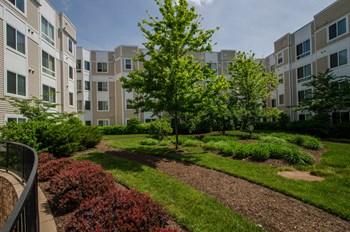 Building exterior Building exterior at Lotus Square, Washington, Washington - Photo Gallery 4