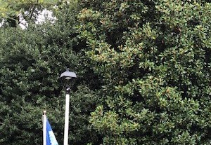 100 Best Apartments In Lithonia Ga With Reviews Rentcafe