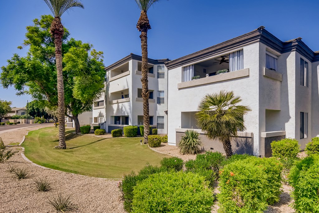 an exterior view of a building with palm trees