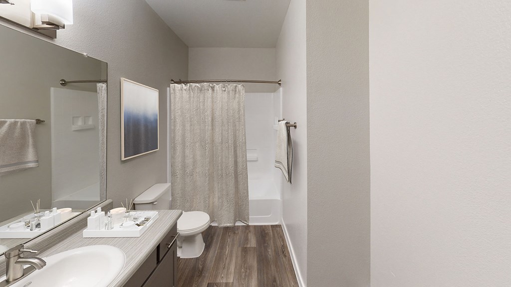 a bathroom with a shower and a sink and a toilet