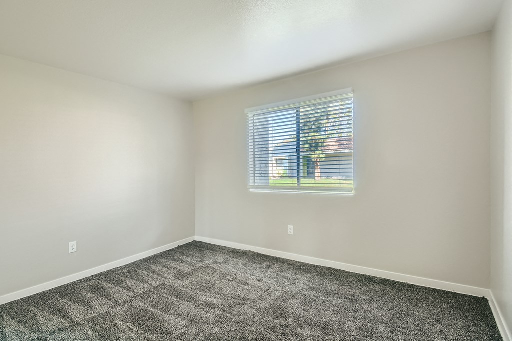 an empty room with carpet and a window