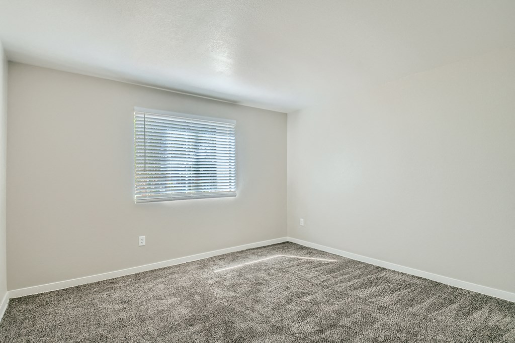an empty room with carpet and a window