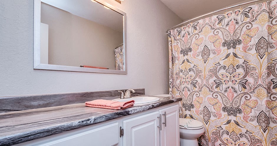 a bathroom with a sink and a mirror
