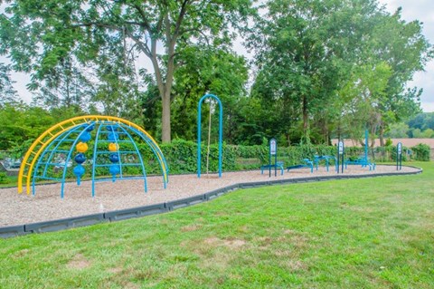 a park with a playground and trees