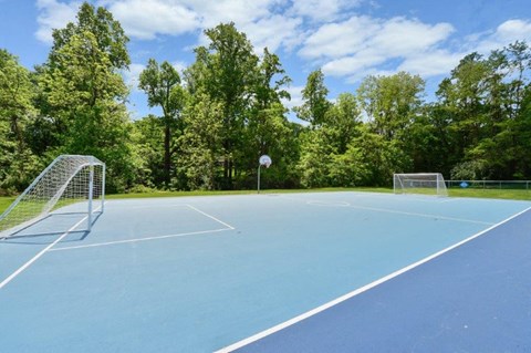a blue tennis court with a net and trees