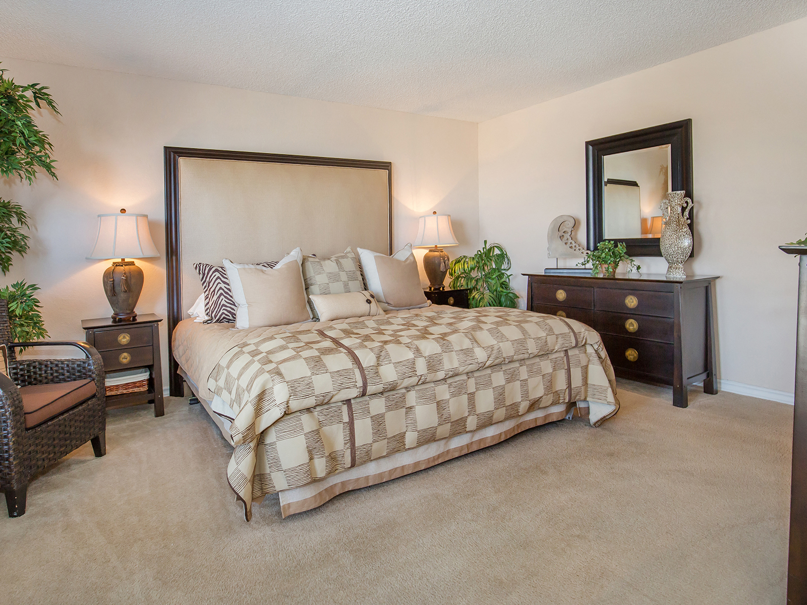 Apartments In El Paso Tx The Pointe