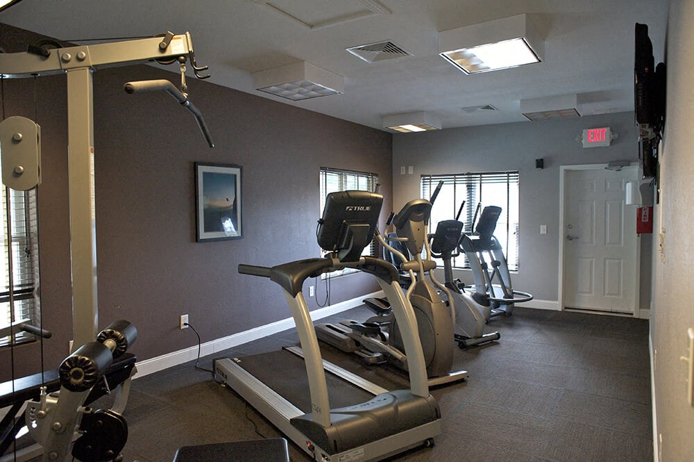 a gym with cardio equipment in a home gym