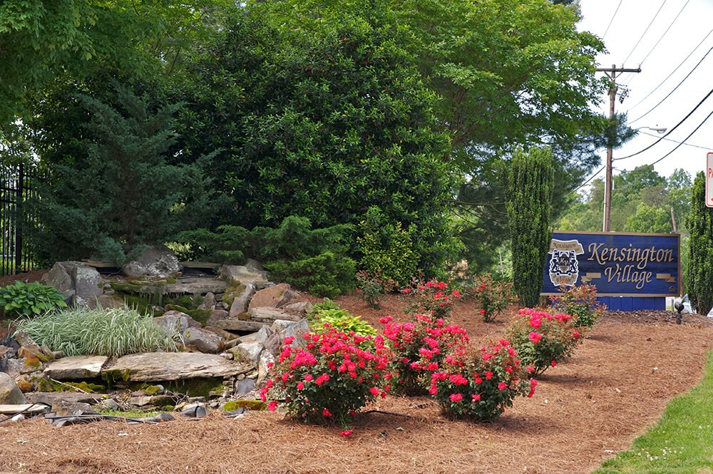 a garden with flowers and a sign