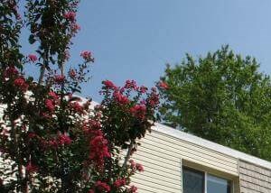 Kensington Village | Apartments in Winston-Salem, NC