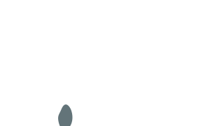 Logo Icon Video Call Whatsapp Png Lirik Lagu