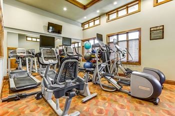 Fitness-Center at Thornberry Woods Apartment Homes, Naperville, IL, 60565