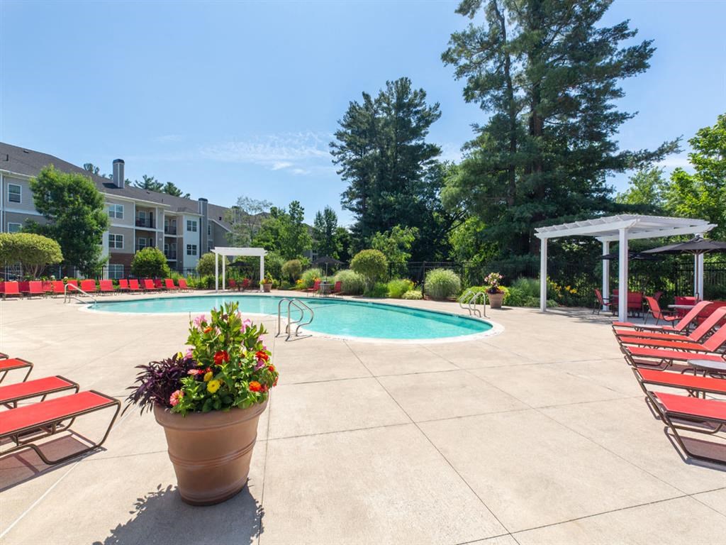 our apartments have a large pool and lounge chairs