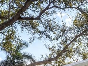 25 Best Luxury Apartments In Boca Raton Fl With Photos Rentcafe