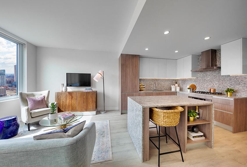 1140 N. Wells Street Studio-4 Beds Apartment for Rent - Photo Gallery