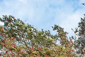 You'll be welcomed home to freshly painted buildings and lush landscaping You'll be welcomed home to freshly painted buildings and lush landscaping