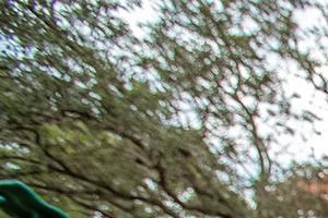 Your furry family will love running free at our dog park Your furry family will love running free at our dog park