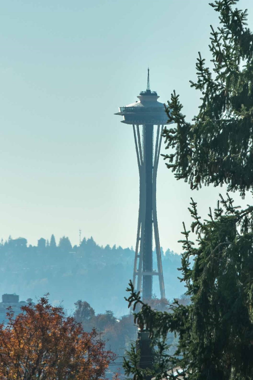 a view of the space needle through the trees