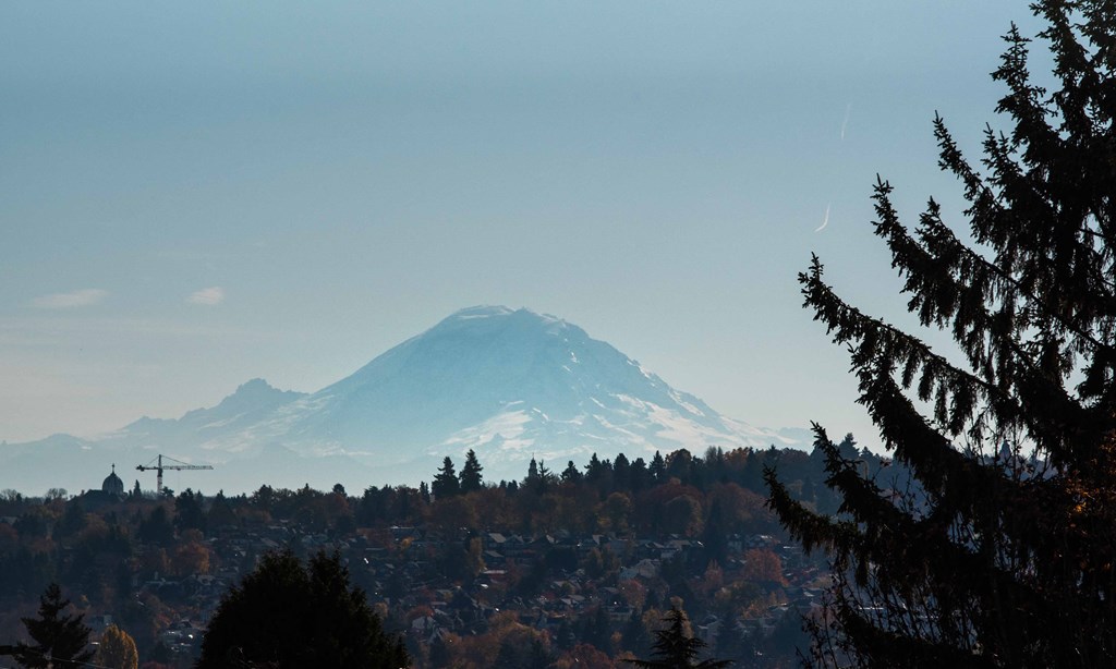 a snow covered mountain in the distance with a city and trees