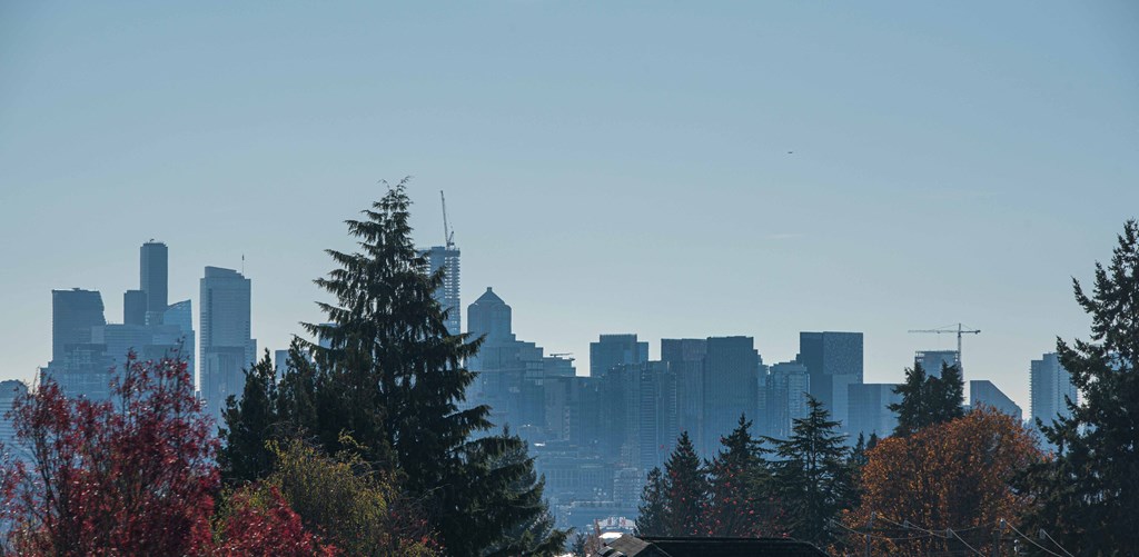 the skyline of the city with trees in the foreground