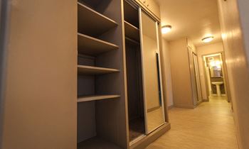 Wall-to-wall closets at Archer Tower in Denver, CO