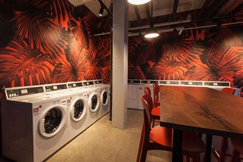 Laundry room with red palm wallpaper at Archer Tower in Denver, CO