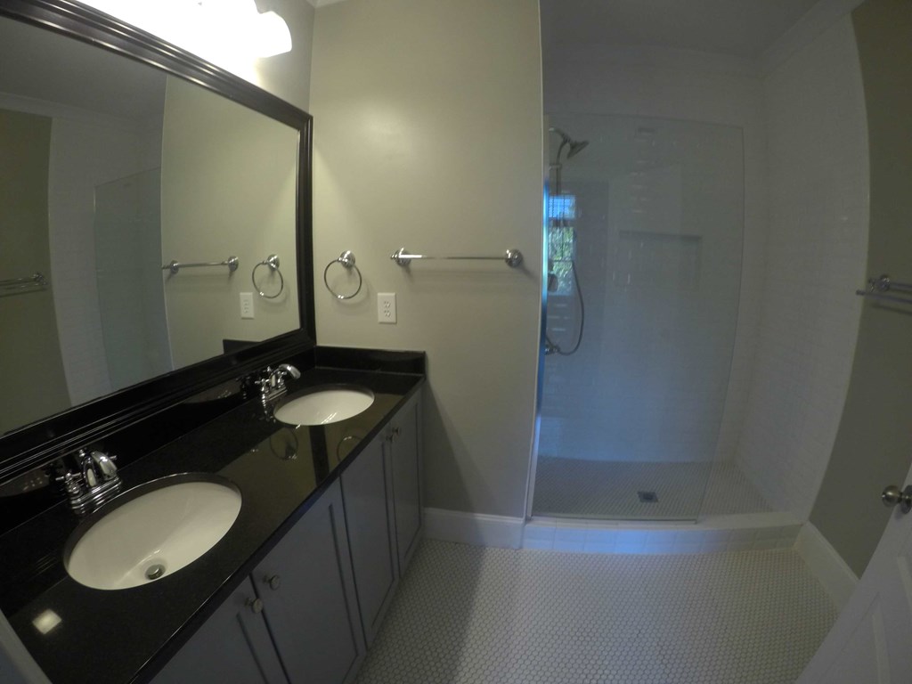 a bathroom with two sinks and a shower and a mirror