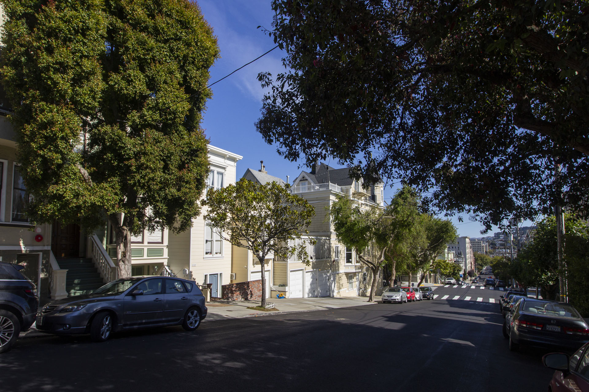 A street view with cars and trees.