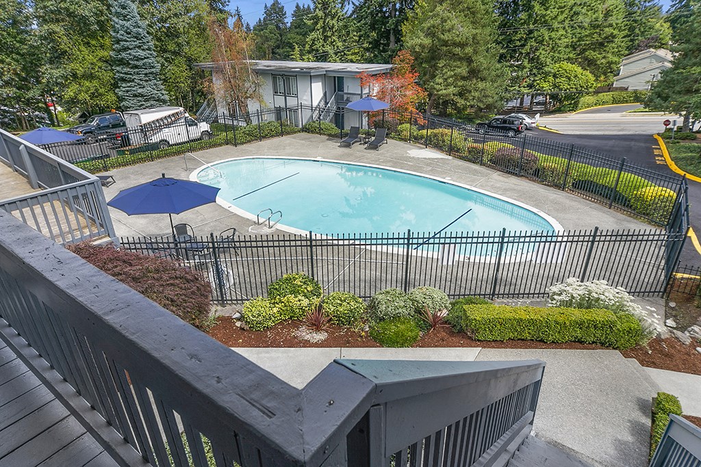 Aerial Pool View at Capri Apartments, Mountlake Terrace