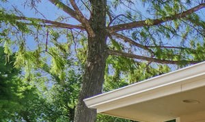Resident Mailboxes | Northwest Houston Apartments For Rent | Savoy Manor