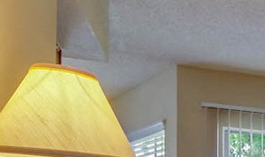 Full Carpet Living Room | Southwest Houston Apartments For Rent | Southpoint Apartments